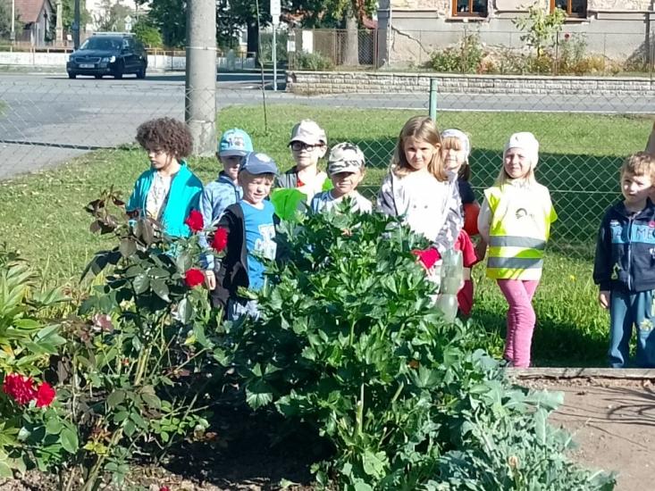 Foto k ��jen ve �kolce