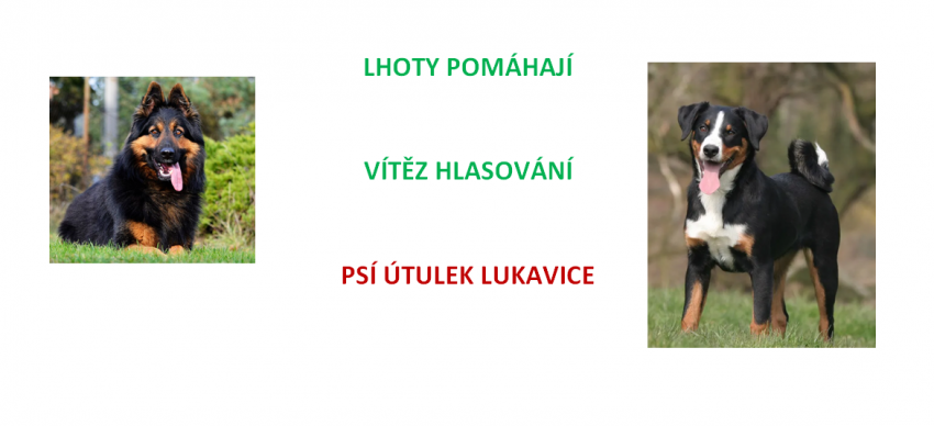 Obr�zek k novince Lhoty pom�haj� - V�T�Z HLASOV�N�